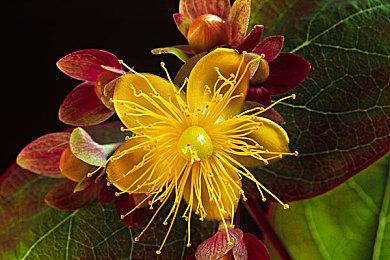 《超级机器人大战30》将登陆Steam 7月11公开新情报